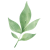 leaf-1.png