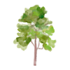 tree.png